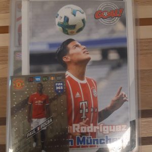 Fifa album voorzien van veel plaatjes