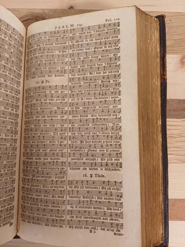 Biblia, De gantsche heylige schrifture, testaments 1846 - Afbeelding 13