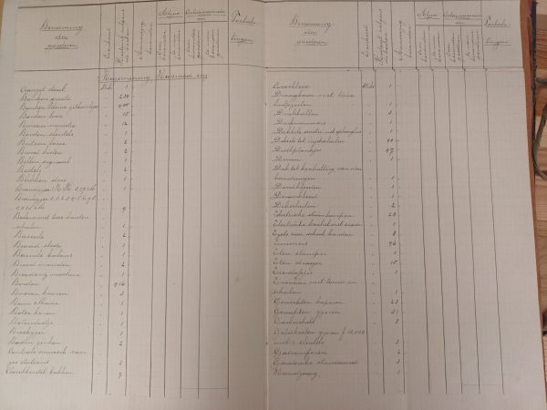 Benoeming der goederen 1920-1925 - Afbeelding 7