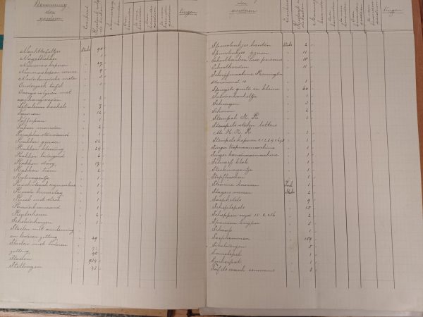 Benoeming der goederen 1920-1925 - Afbeelding 8