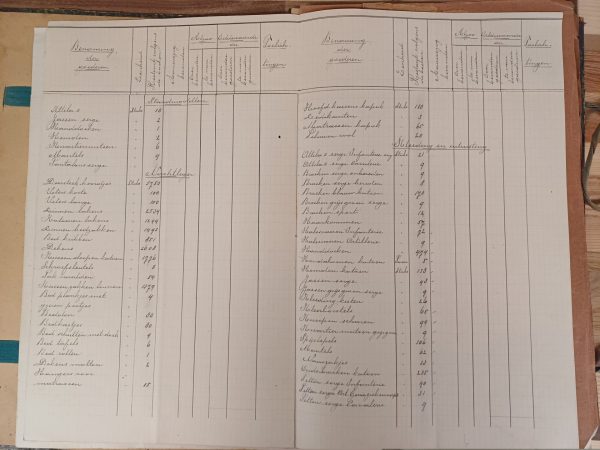 Benoeming der goederen 1920-1925 - Afbeelding 9
