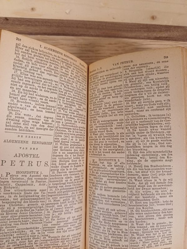 Bijbel - Het Nieuwe Testament 1881 - Afbeelding 8