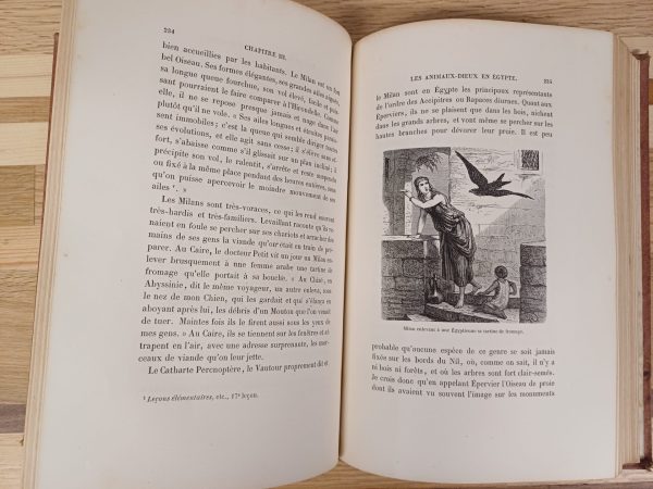L'Homme et la Bete - Arthur Mangin - 1872 - Afbeelding 9