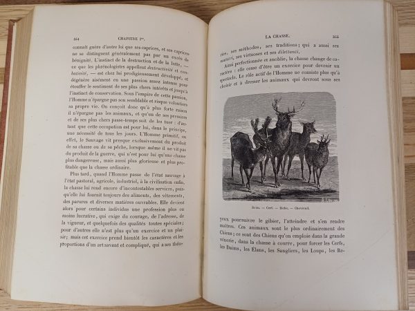 L'Homme et la Bete - Arthur Mangin - 1872 - Afbeelding 11