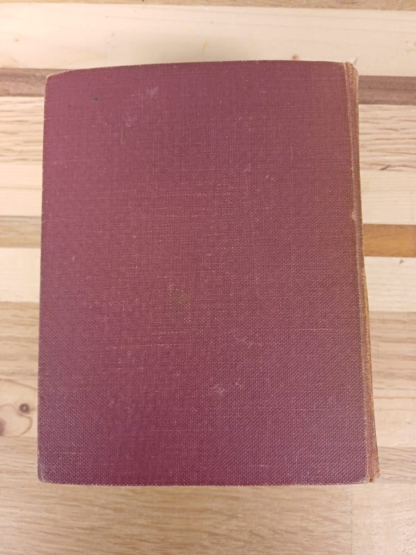 Deutsches Geschlechterbuch - Band 99 - Afbeelding 4