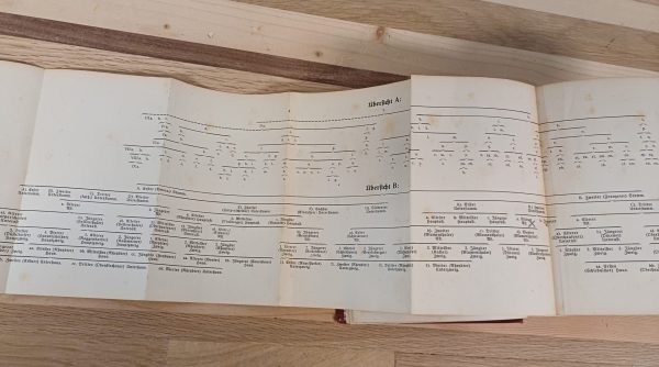 Deutsches Geschlechterbuch - Band 99 - Afbeelding 9
