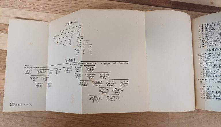 Deutsches Geschlechterbuch - Band 99 - Afbeelding 12