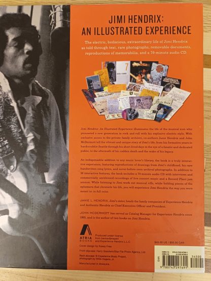 Jimi Hendrix An Illustrated Experience - Afbeelding 2