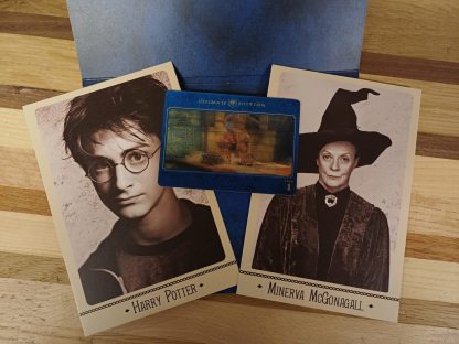 Harry Potter and the Philosopher's Stone dvd - ultimate edition dvd - Afbeelding 6