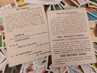 Rizla vogels en vissen  plaatjes & Van Houten's Cacao vogelkaarten - Afbeelding 4