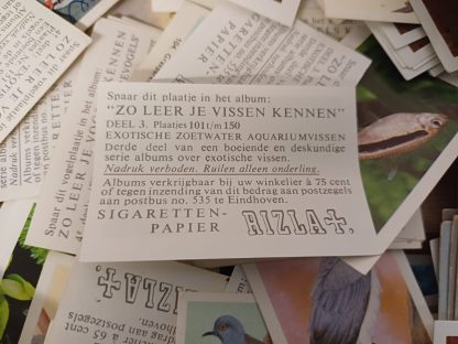 Rizla vogels en vissen  plaatjes & Van Houten's Cacao vogelkaarten - Afbeelding 6