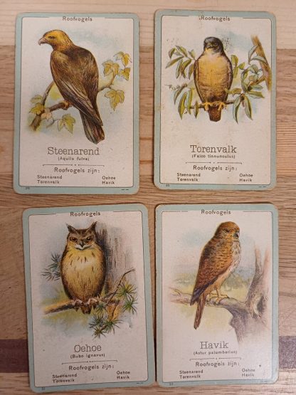 Vintage Fauna - Een onderhoudend en leerrijk gezelschapspel kwartetspel - Afbeelding 5