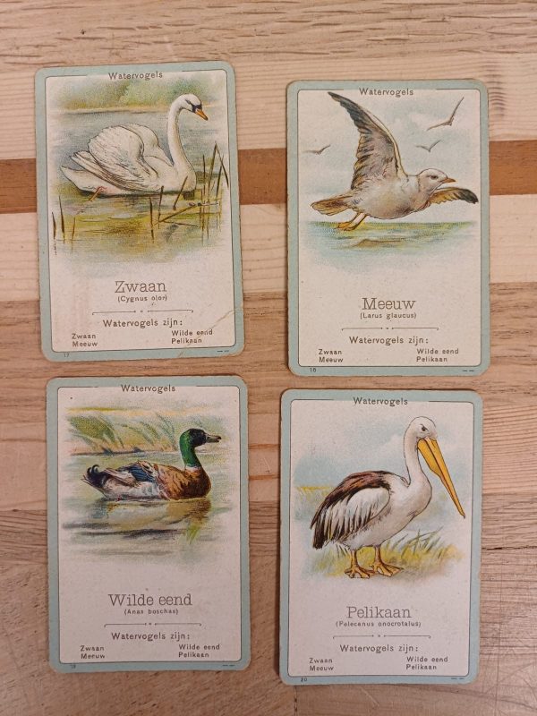 Vintage Fauna - Een onderhoudend en leerrijk gezelschapspel kwartetspel - Afbeelding 7