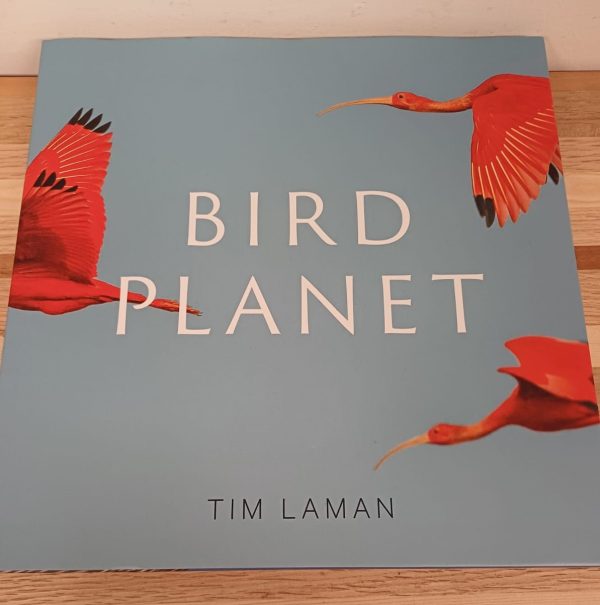 Bird planet - Tim Laman