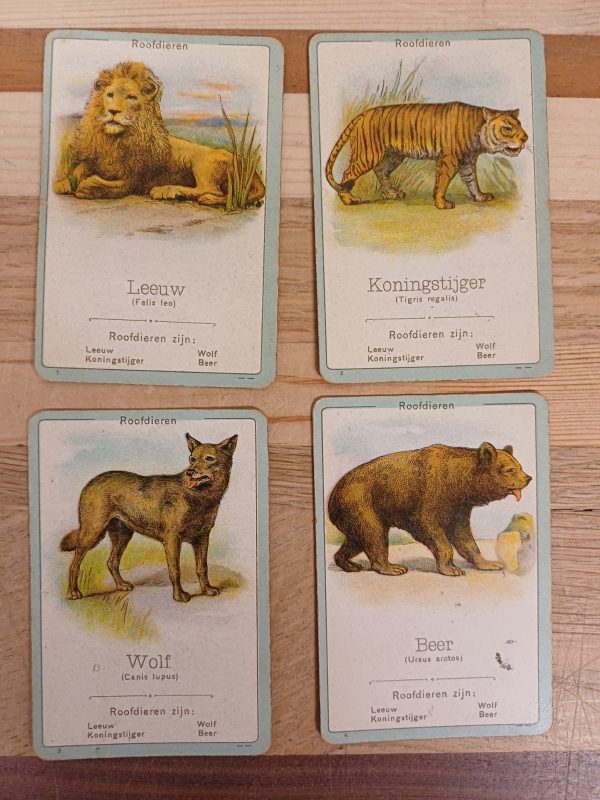 Vintage Fauna - Een onderhoudend en leerrijk gezelschapspel kwartetspel - Afbeelding 2
