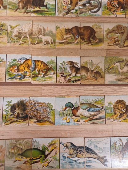 Vintage Dieren-Domino - Afbeelding 7