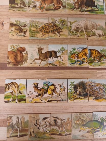 Vintage Dieren-Domino - Afbeelding 8