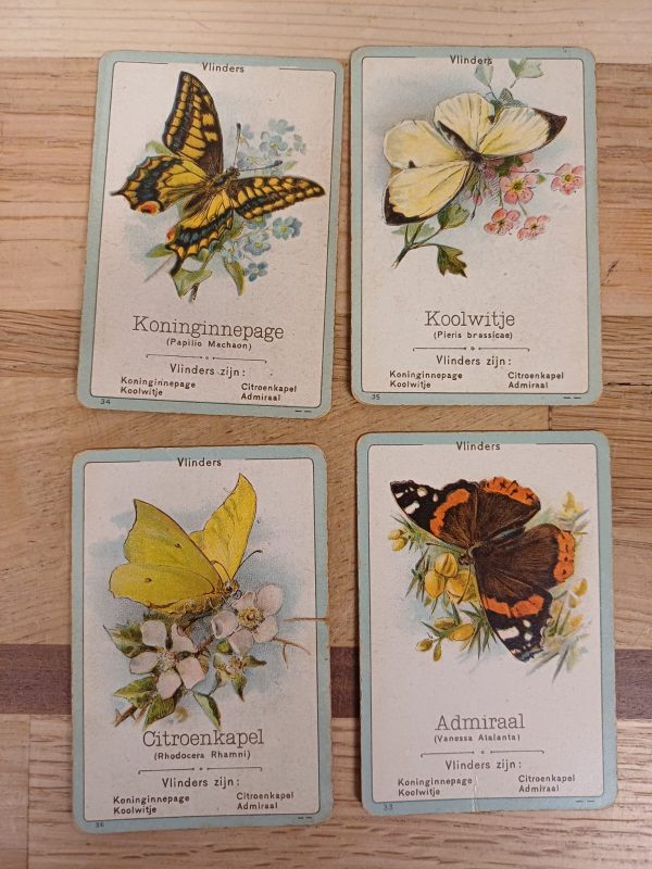 Vintage Fauna - Een onderhoudend en leerrijk gezelschapspel kwartetspel - Afbeelding 11