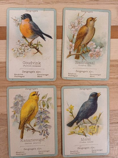 Vintage Fauna - Een onderhoudend en leerrijk gezelschapspel kwartetspel - Afbeelding 10