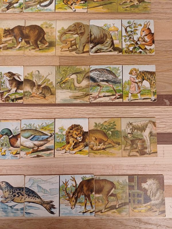 Vintage Dieren-Domino - Afbeelding 11