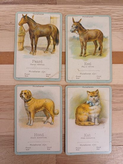 Vintage Fauna - Een onderhoudend en leerrijk gezelschapspel kwartetspel - Afbeelding 12