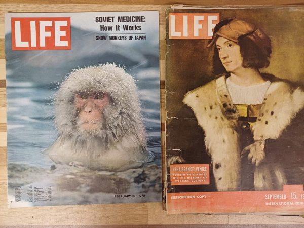 Vintage Life magazines - 11 stuks - Afbeelding 4