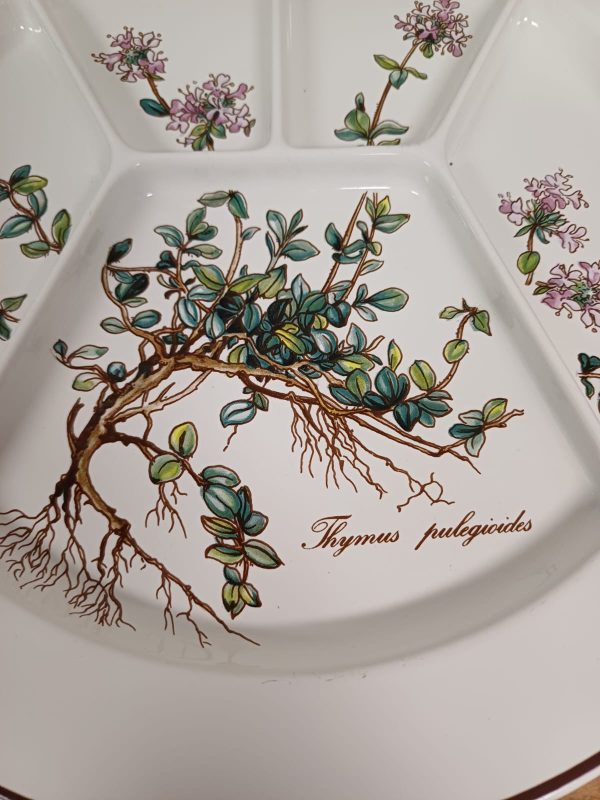 Villeroy & Boch Botanica fondue /gourmet borden - 8 stuks - Afbeelding 3