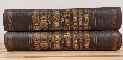 Die Bibel (deel I & II) Bijbel - Afbeelding 6
