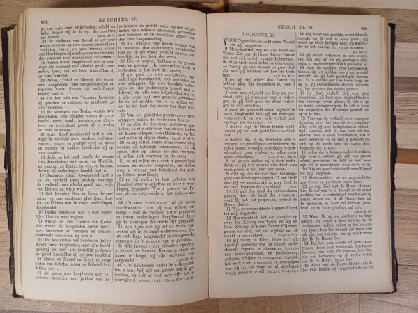 Huwelijks Bijbel 1904 - uitgereikt aan ..... bij de inzegening van hun huwelijk - Afbeelding 10