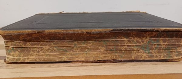 Huwelijks Bijbel 1904 - uitgereikt aan ..... bij de inzegening van hun huwelijk - Afbeelding 12