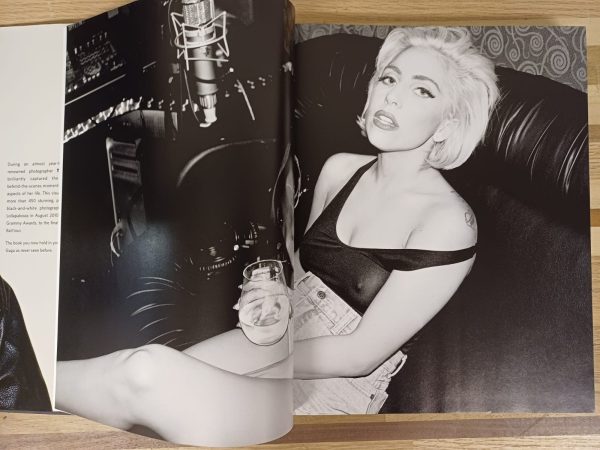 Lady Gaga X Terry Richardson - fotoboek - Afbeelding 9
