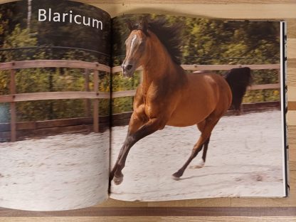 Piet Boon boek 2 - Afbeelding 5