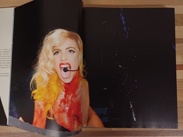 Lady Gaga X Terry Richardson - fotoboek - Afbeelding 8