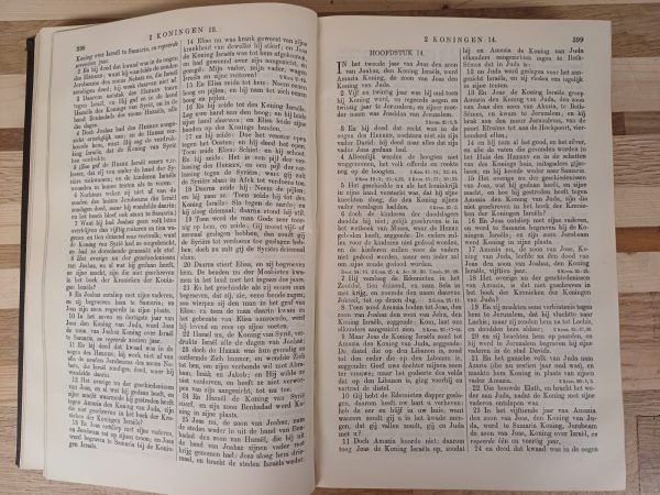 Huwelijks Bijbel 1902 - uitgereikt aan ..... bij de inzegening van hun huwelijk - Afbeelding 10