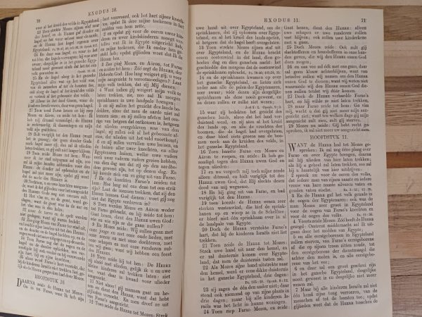 Huwelijks Bijbel 1902 - uitgereikt aan ..... bij de inzegening van hun huwelijk - Afbeelding 11