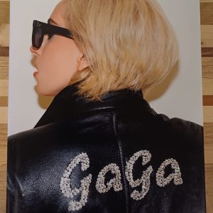 Lady Gaga X Terry Richardson - fotoboek