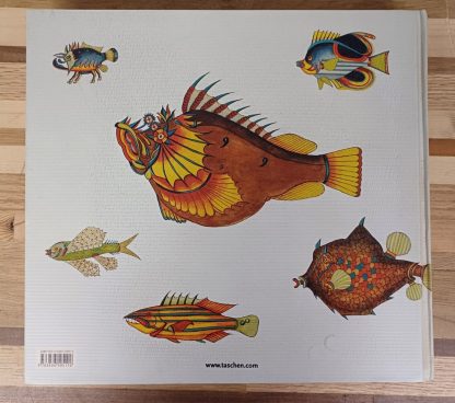 Tropical Fishes - Taschen - Afbeelding 2