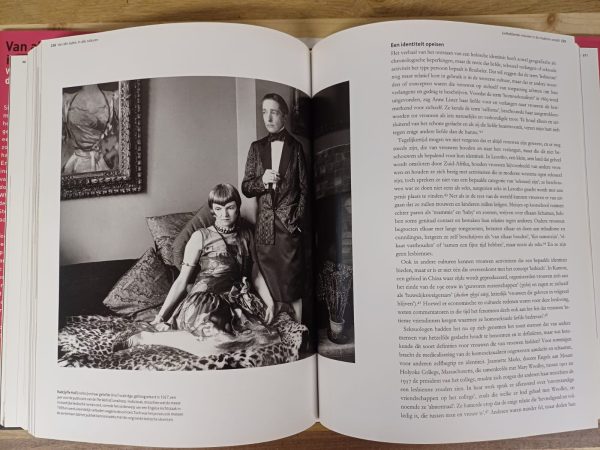 Van alle tijden, in alle culturen - Wereldgeschiedenis van de homoseksualiteit - Afbeelding 5