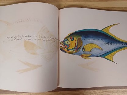 Tropical Fishes - Taschen - Afbeelding 5