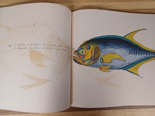 Tropical Fishes - Taschen - Afbeelding 5