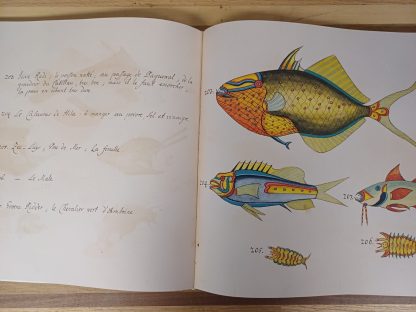 Tropical Fishes - Taschen - Afbeelding 6