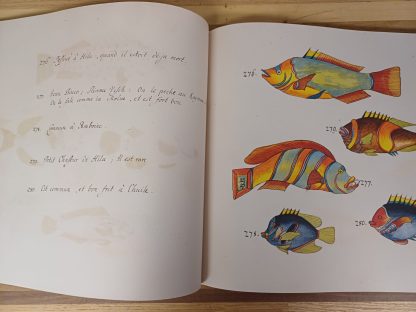Tropical Fishes - Taschen - Afbeelding 4