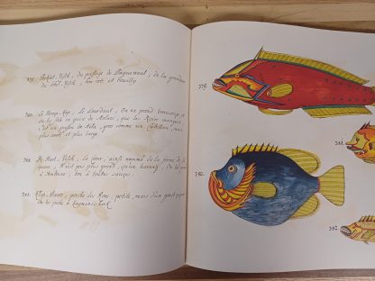 Tropical Fishes - Taschen - Afbeelding 8