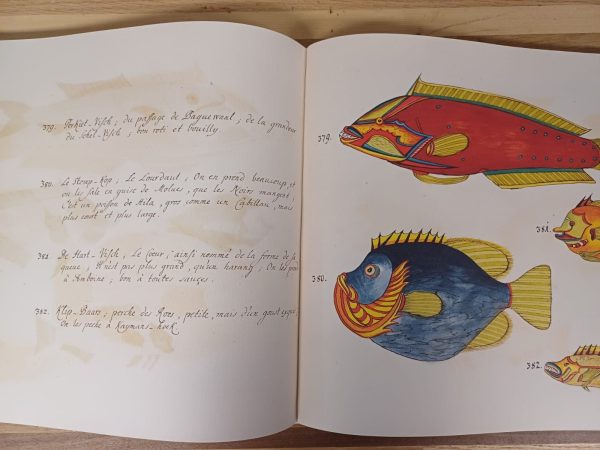 Tropical Fishes - Taschen - Afbeelding 8