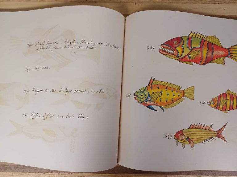 Tropical Fishes - Taschen - Afbeelding 10