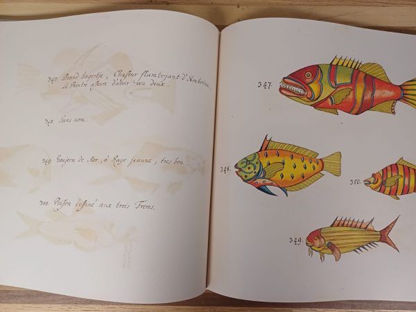 Tropical Fishes - Taschen - Afbeelding 10