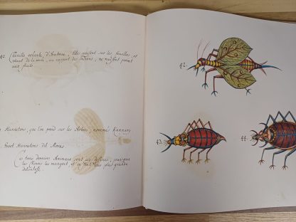 Tropical Fishes - Taschen - Afbeelding 11