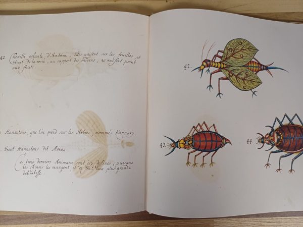 Tropical Fishes - Taschen - Afbeelding 11