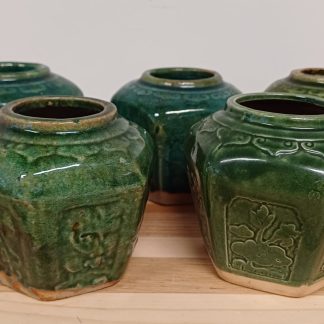 5 Chinese Gember Potjes