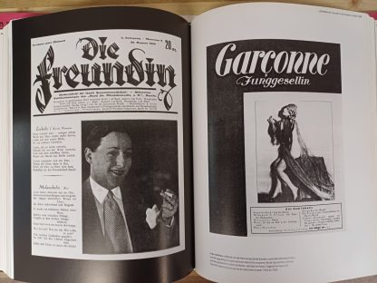 Van alle tijden, in alle culturen - Wereldgeschiedenis van de homoseksualiteit - Afbeelding 9